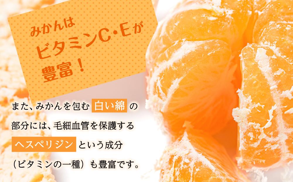 ［先行予約］蔵出しみかん　LLサイズ又は3L　6kg　（和歌山県　海南市下津町　農園直送）