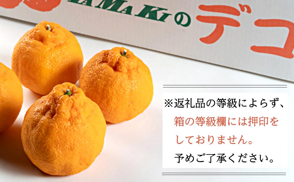 ［先行予約］不知火（完熟栽培）15玉～28玉 約5kg 家庭用【和歌山 海南市 農園直送】