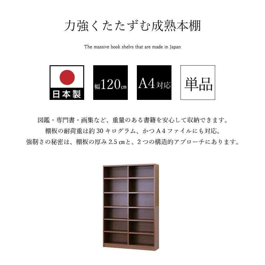 強化シェルフ 120-180 sb40229