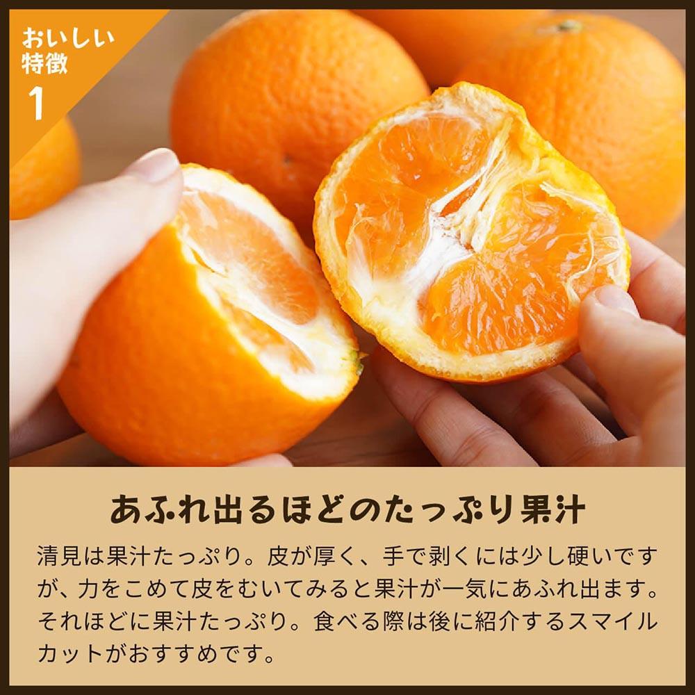 清見オレンジ（みかん）4kg家庭用｜和歌山県海南市下津町で育てた和製オレンジを産地直送でお届け【2026年3月～発送予定】