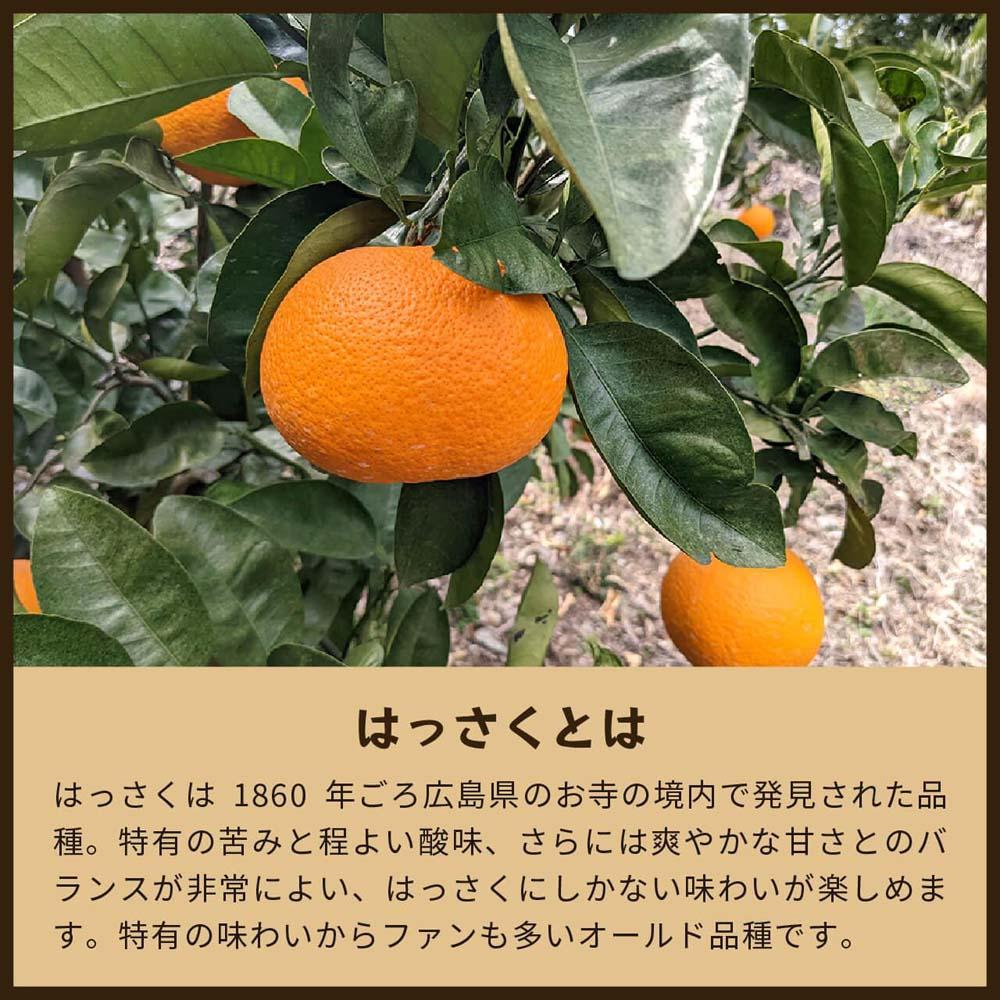 八朔｜和歌山県海南市から産地直送でお届け｜4kg｜ご家庭用【2026年4月