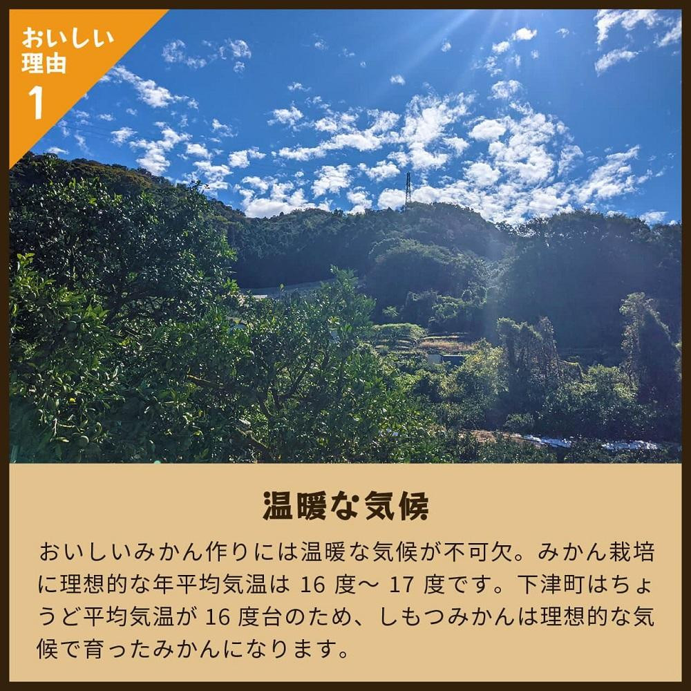 とれたてしもつみかん 3kg 家庭用｜和歌山県海南市の下津みかんを産地直送でお届け［2026年11月発送開始］