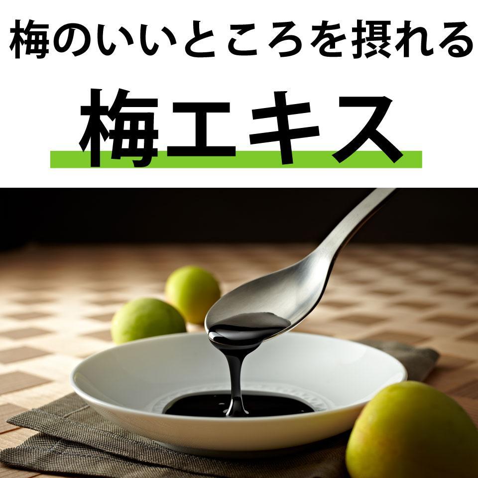 梅エキス 紀州の赤本純正70g【元気ノ国】
