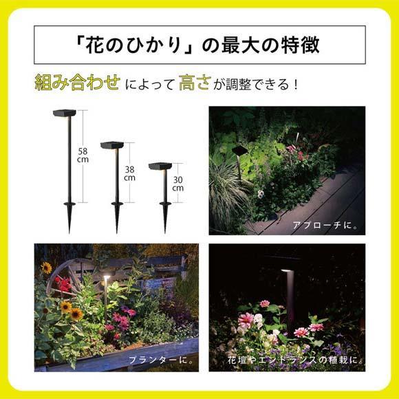 75694000 ひかりノベーション SUNCHARGE 花のひかり