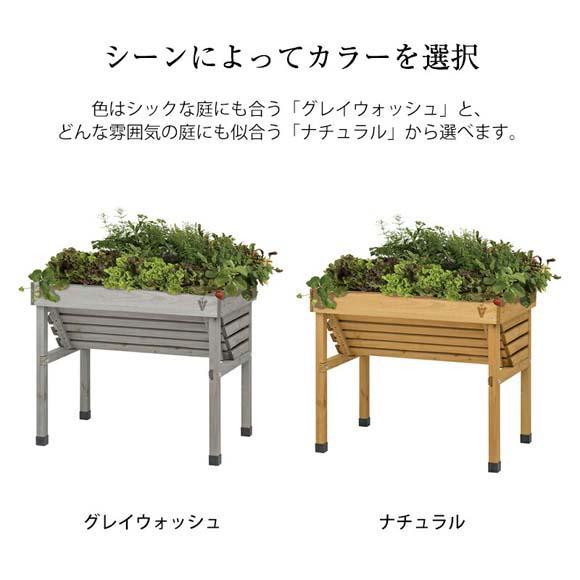 57932700 ホームベジトラグ ウォールハガー コンパクト ナチュラル