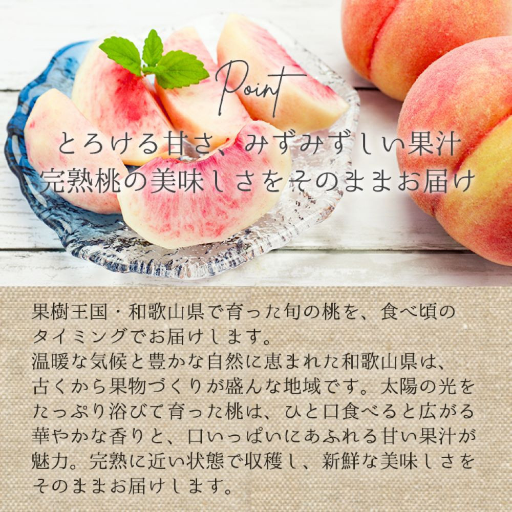 贈答用 森本農園の手選別 桃 4kg