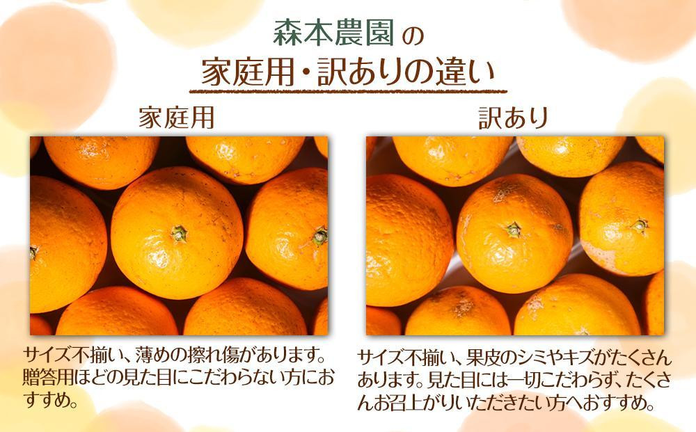 家庭用 森本農園の手選別 みかん 約8kg 和歌山県産 2S~2Lサイズ混合 ［北海道・沖縄・離島配送不可］［RN42］［2026年11月上旬から順次発送］