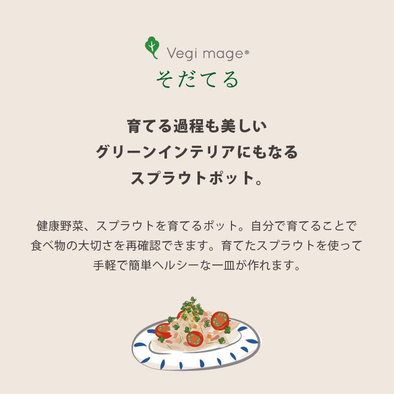 【ブラウン】ベジマジそだてる スプラウト栽培容器 種付き 水耕栽培 おしゃれ 家庭菜園