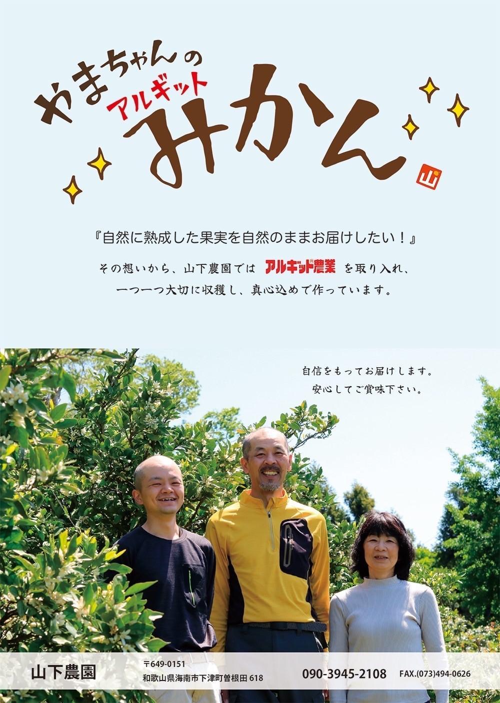 国産 バレンシアオレンジ 約5kg M～LLサイズ 山下農園