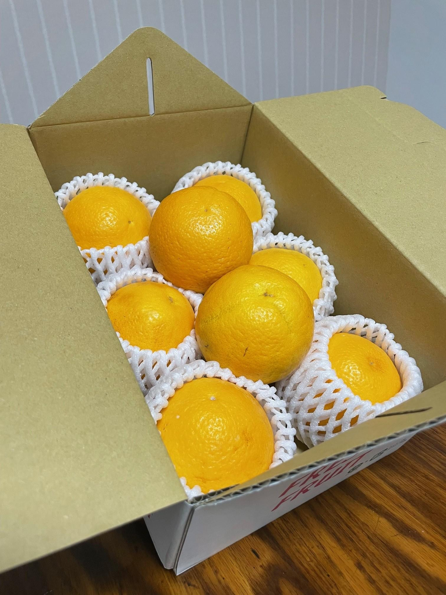 国産 バレンシアオレンジ 約2kg M～LLサイズ 山下農園