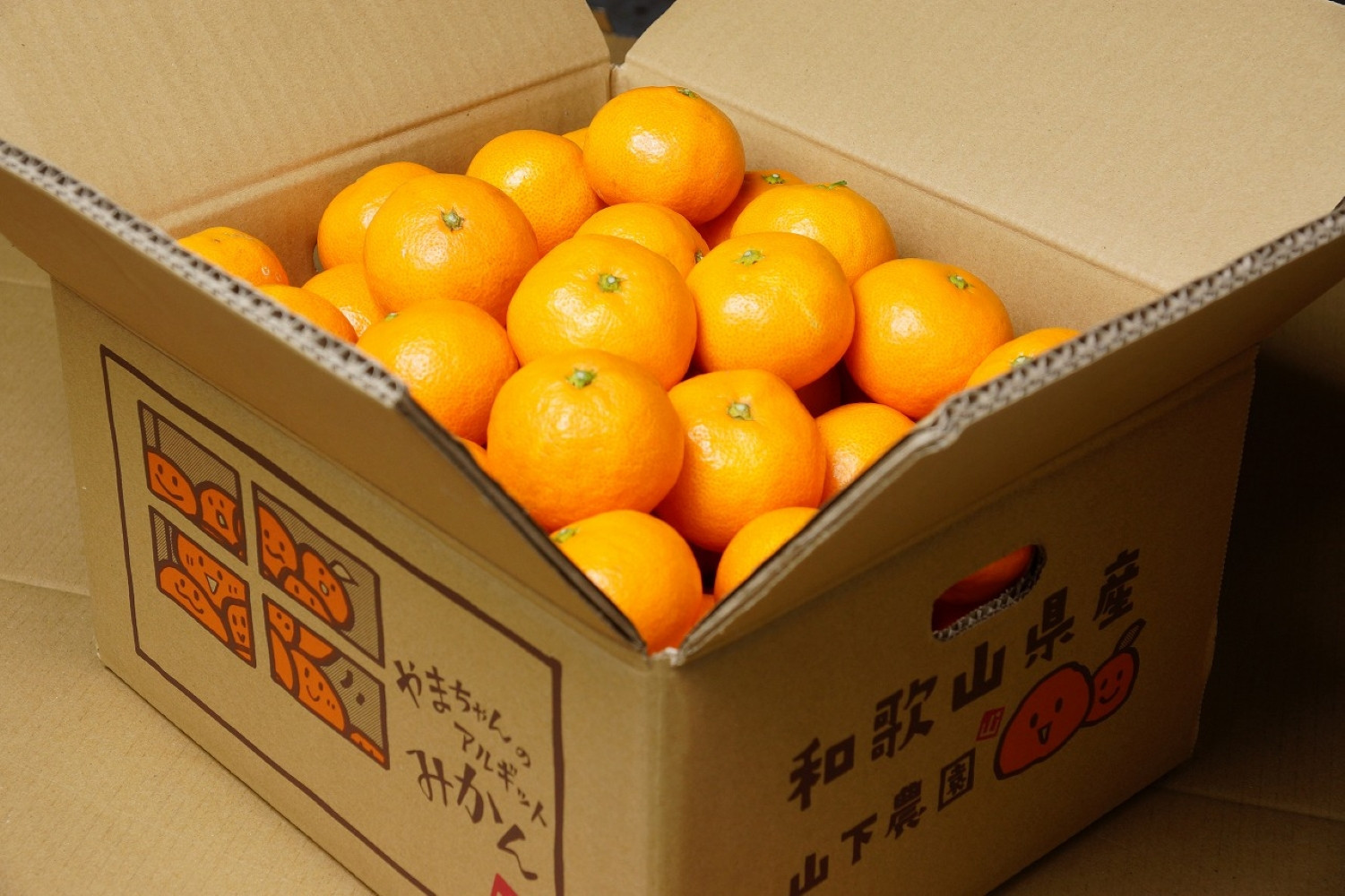 樹上完熟早生みかん 約5kg SS～Lいずれか 山下農園