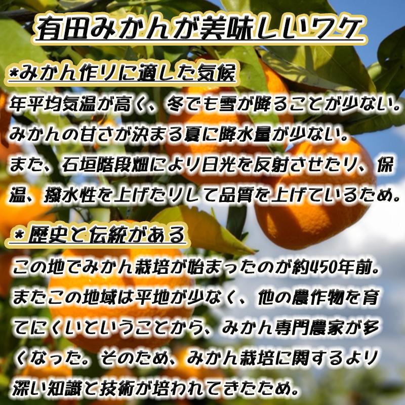 有田みかん【特秀品Ｍ～Ｌ、高糖度】約10kg！2025年10月上旬～12月下旬順次発送【NGT4】