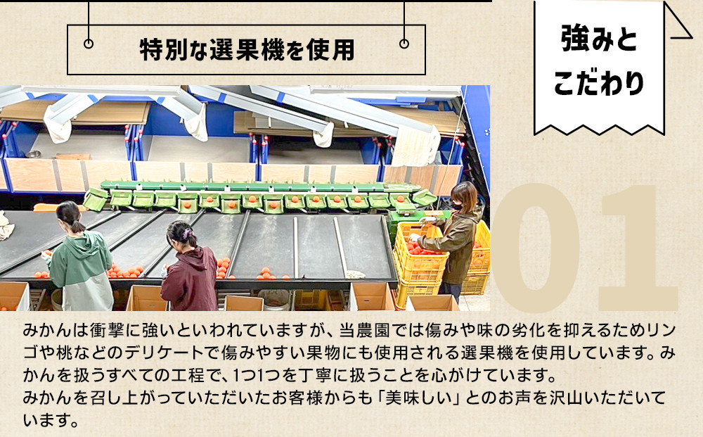 和歌山県産 下津蔵出しみかん 家庭用 3kg (サイズおまかせSまたはMのいずれか) 農家直送 手選別