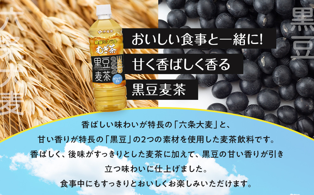 ［定期便 全6回 毎月発送］健康ミネラル麦茶黒豆麦茶 650ml×1ケース （24本）