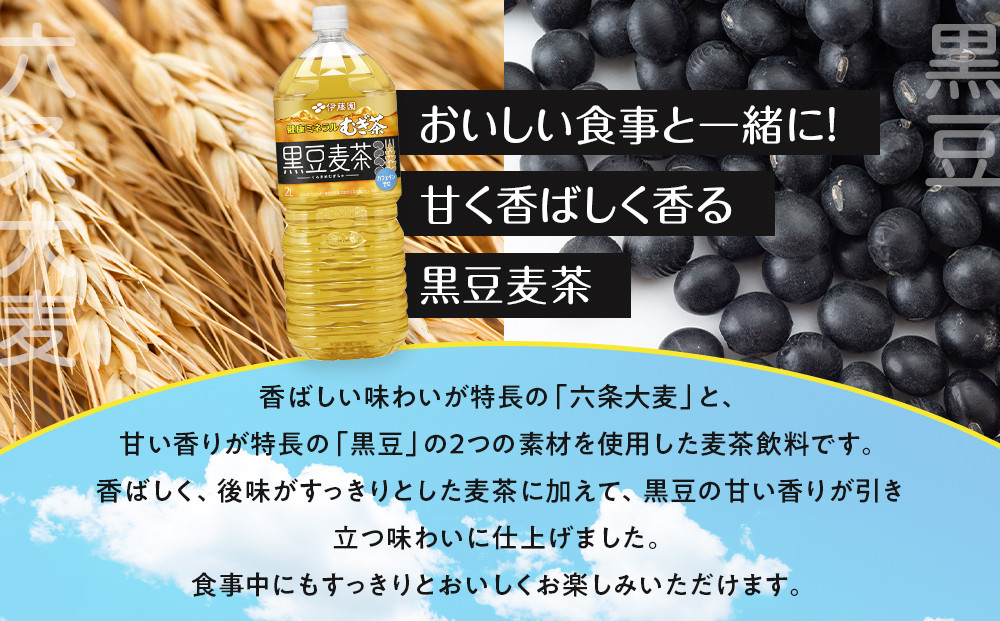 健康ミネラル麦茶黒豆麦茶 2L×2ケース （12本）