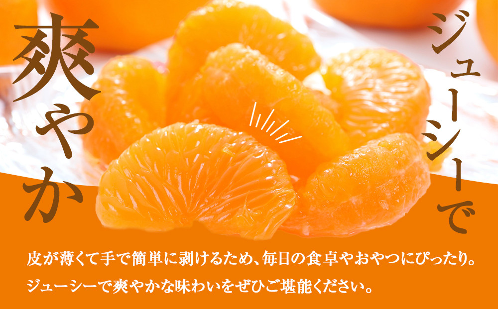 ［先行予約］訳あり 温州みかん 約2kg 小粒［2025年11月上旬頃から順次発送予定］