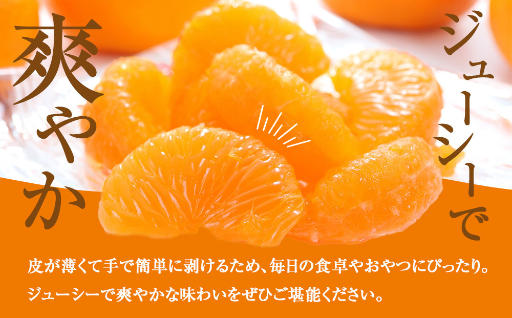 ［先行予約］訳あり 温州みかん 約2kg 2S～2Lサイズ混合［2025年11月上旬頃から順次発送予定］