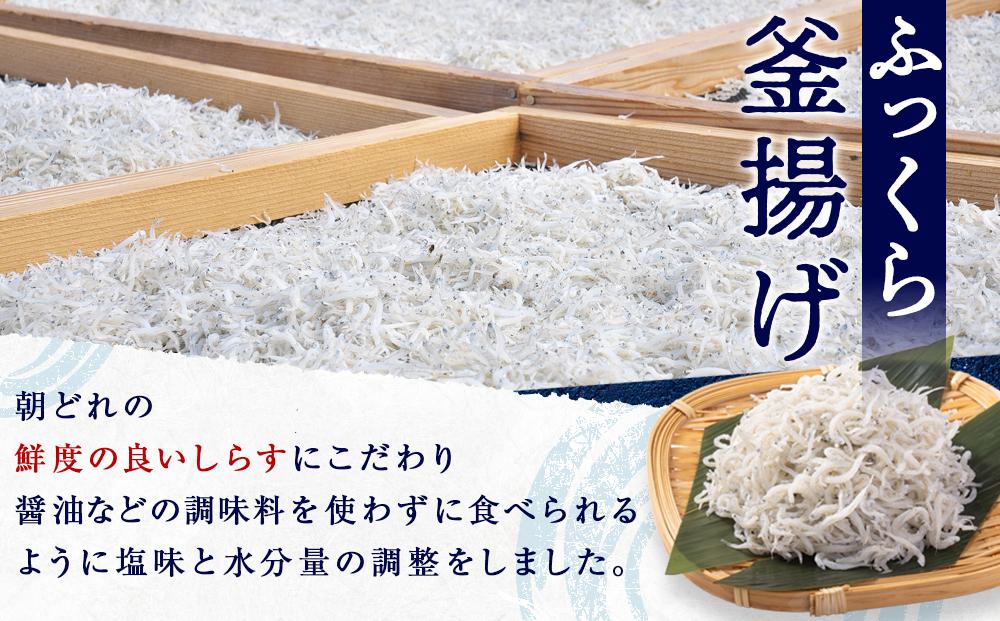 産地直送 ふっくら釜揚げ しらす 800g （ 冷蔵 ）
