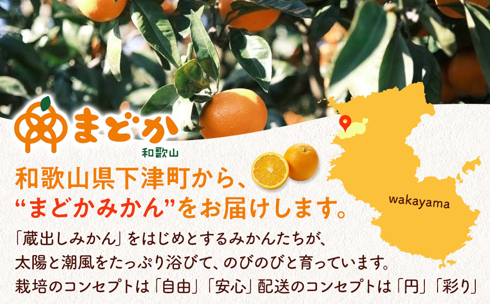 ［先行予約］［訳あり］蔵出しみかん（晩生みかん）S〜Lサイズ混合 2kg＋200g（傷み補償分）［2026年1月上旬より発送］