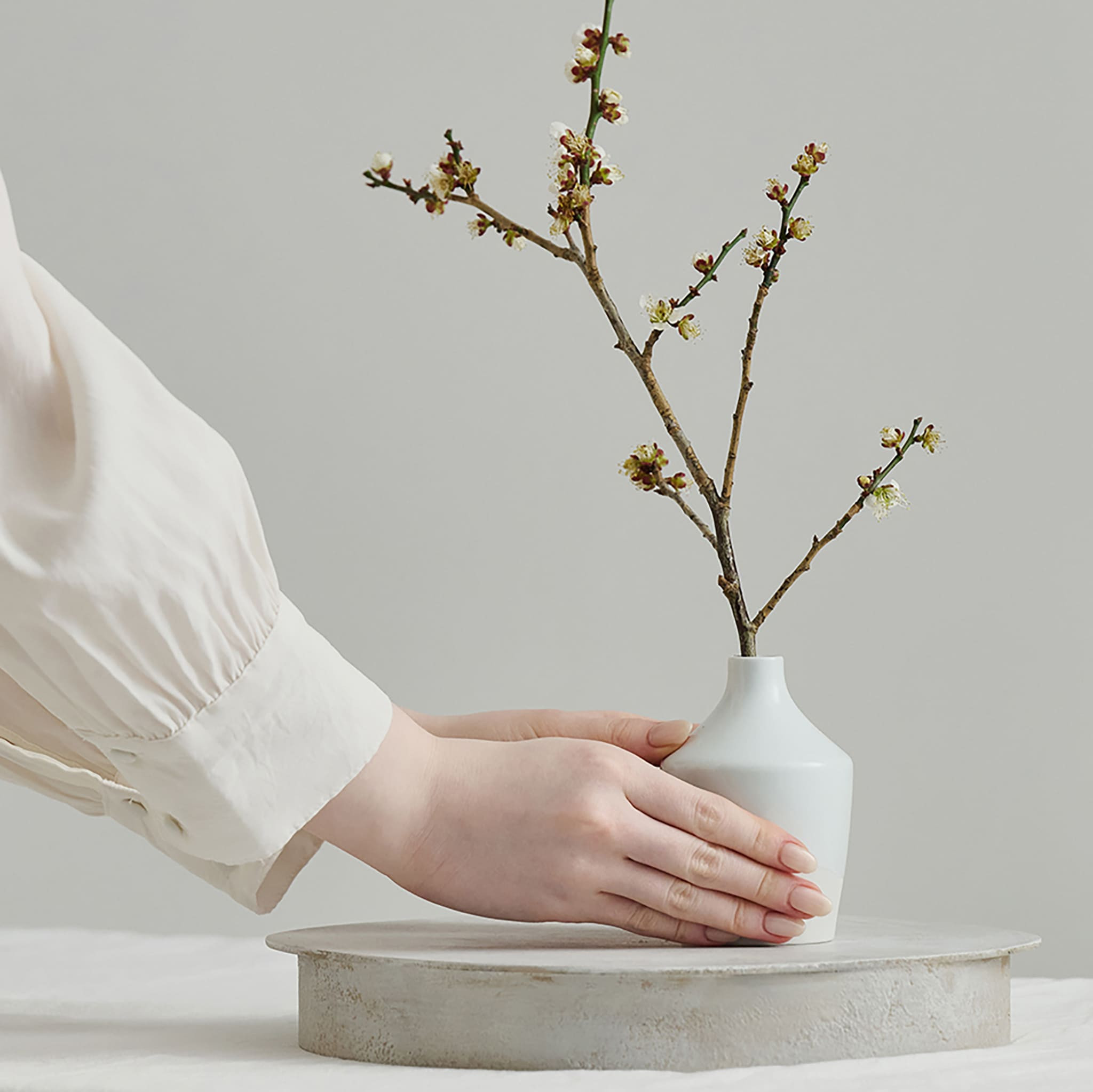 紀州漆器 SHIKI-ORIORI しきおりおり さざなみ Dai 台 お盆 トレイ