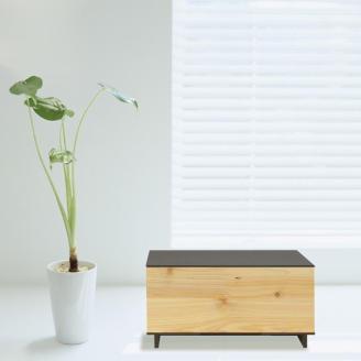 タツクラフト ひのき張り マスク収納ボックス 1段