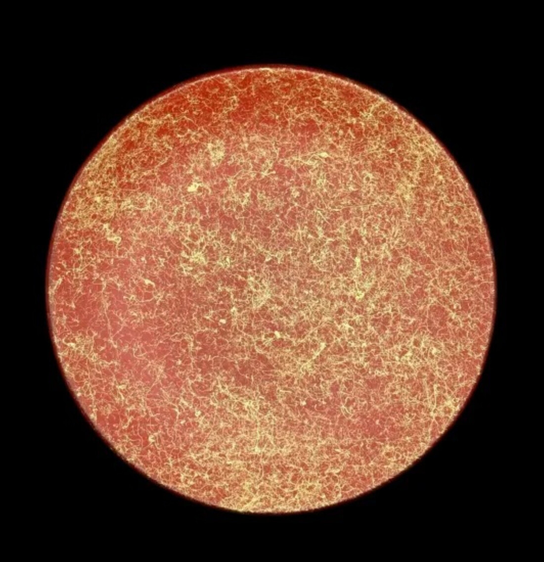 丸小皿 乱糸(マット仕上げ) 5枚セット