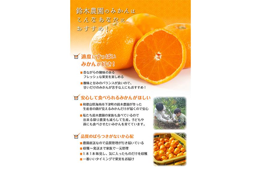 訳あり みかん 早生みかん 5kg 混合サイズ 和歌山県海南市鈴木農園より直送 みかん ミカン 蜜柑 mikan 温州みかん 海南みかん 下津みかん しもつみかん 温州みかん 訳アリ 訳あり品 訳有り わけありみかん