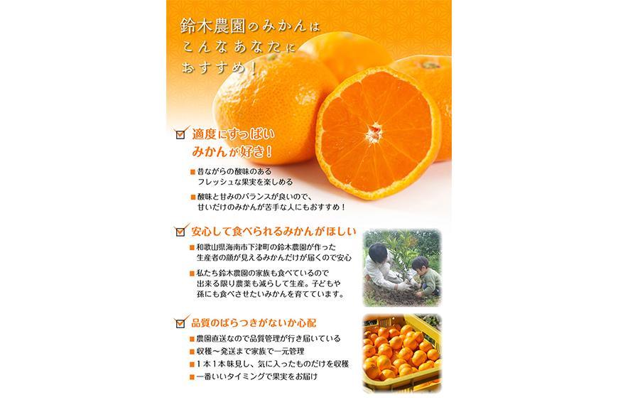 早生みかん（希少な小粒２S～３Sサイズ）5ｋｇ混合11月中旬～12月下旬頃に鈴木みかん農園より農園直送 3Sサイズ 2Sサイズ ２S SS 小玉 小さい※北海道・沖縄・離島への配送不可　ミカン　蜜柑　mikan　温州みかん 温州ミカン　わけあり　訳アリ