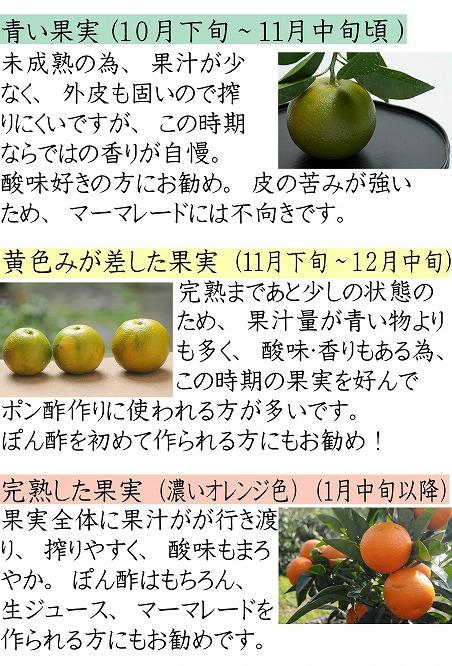橙(だいだい)5kg箱(4.5キロ入り)海鮮・手作りポン酢・お酒にもおすすめ！昔ながらのみかん鈴木農園より産地直送《11月・12月・1月発送》｜青ダイダイ 黄ダイダイ 赤ダイダイ ぽん酢 ダイダイ酢 柑橘 かんきつ
