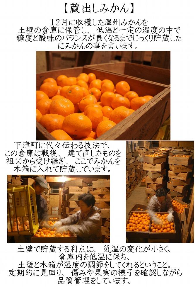 蔵出しみかん3kg小粒S又はSSサイズ【下津の蔵出しみかん】1月発送・2月発送で昔ながらのみかん鈴木農園より産地直送｜贈答 ギフト Sサイズ 2Sサイズ 小玉 ※北海道・沖縄・離島への配送不可