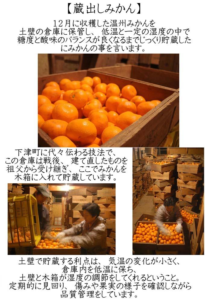 蔵出しみかん5kg小粒S又はSSサイズ【下津の蔵出しみかん】1月から2月発送で鈴木みかん農園より農園直送でお届けします｜ 贈答 ギフト Sサイズ 2Sサイズ 小玉  ※北海道・沖縄・離島への配送不可