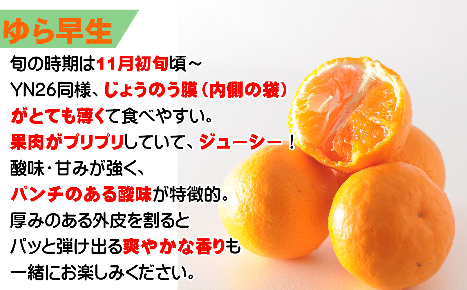 極早生みかん】ゆら早生 又は YN26 約3キロ SS・3Sサイズ 和歌山