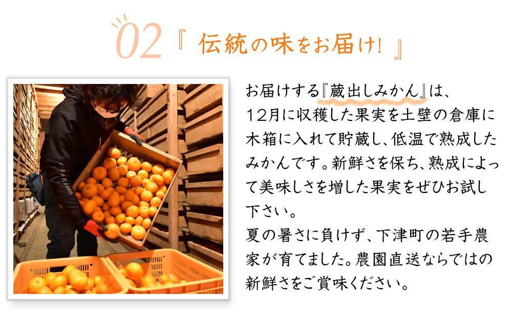蔵出しみかん約10kg 大小混合 《ご家庭用》 ちょっと訳あり 和歌山県産 農園直送 まごころ産直みかん 【1月上旬頃発送開始】【北海道・沖縄県・一部離島 配送不可】 混合サイズ わけあり 訳アリ