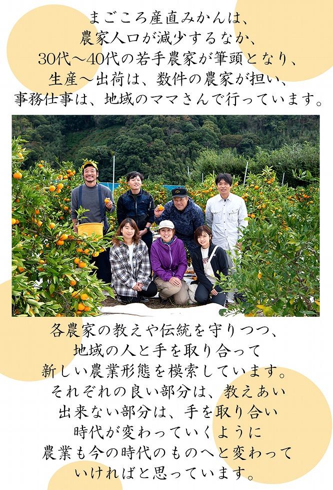 不知火約5kg 15～24玉入り 《ご家庭用》 訳あり 和歌山県産 農園直送 まごころ産直みかん【北海道・沖縄県・離島配送不可】みかん 柑橘 しらぬい デコポンと同じ品種