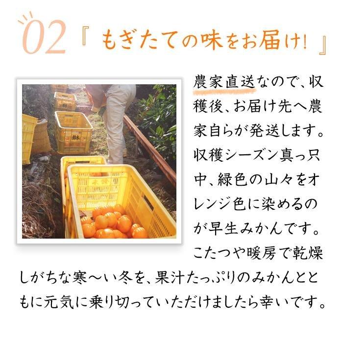 早生みかん 約7kg 大玉 2L・3Lサイズおまかせ 《ご家庭用》 ちょっと訳あり 和歌山県産 農園直送 まごころ産直みかん 【北海道・沖縄県・一部離島 配送不可】大きい 蜜柑 温州みかん わけあり 訳アリ［Mg50］