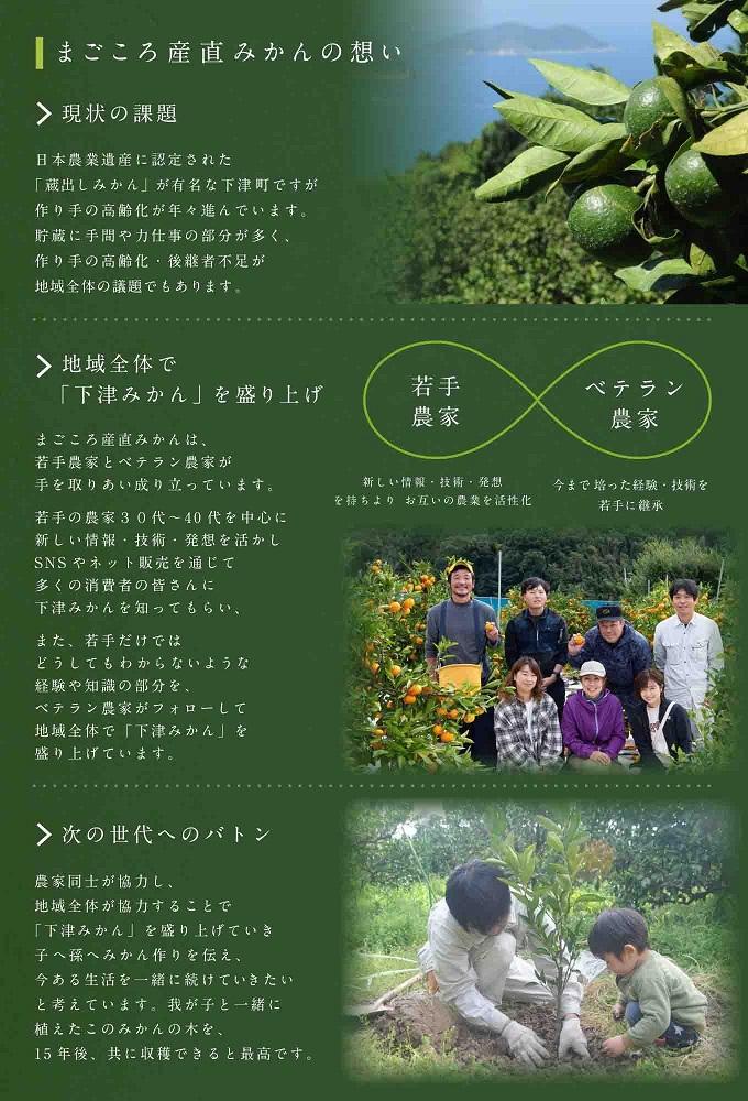 【定期便/全10回】厳選・柑橘の定期便 和歌山県下津町から農園直送！まごころ産直みかん【北海道・沖縄県・一部離島 配送不可】旬 みかん 早生 由良 完熟 蔵出し 津之輝 甘夏 不知火