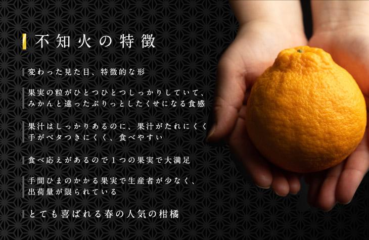 不知火 約3kg 大玉9～11玉入り 《赤秀》 和歌山県産 農園直送 まごころ産直みかん 【北海道・沖縄県・一部離島 配送不可】 みかん 果物 柑橘 しらぬい デコポンと同じ品種 でこぽん