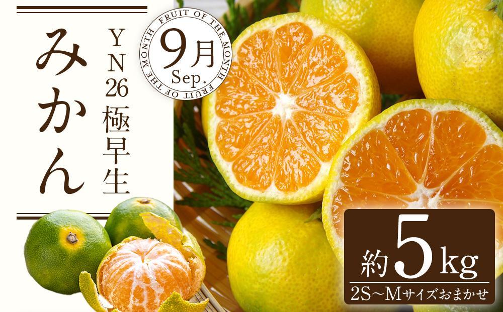 【定期便全3回】産直・厳選フルーツ定期便【TM190】