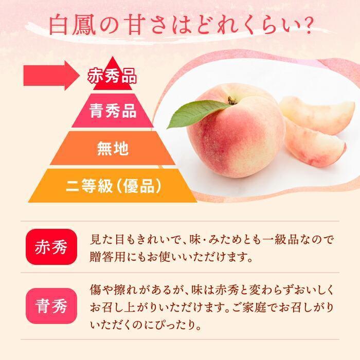 和歌山県産 白鳳 桃 11～15玉入り秀品［2026年6月下旬以降発送］［MG90］