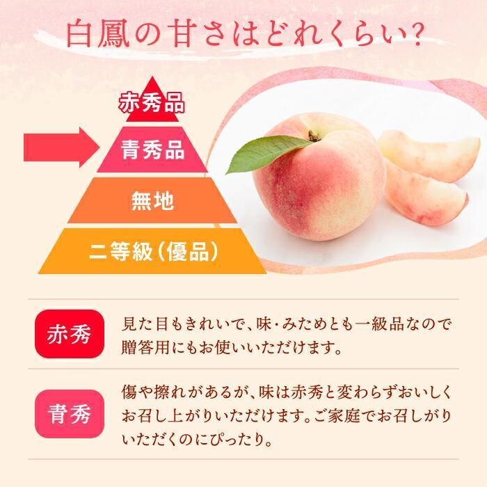 和歌山県産 白鳳 桃 11～16玉入り 訳あり ご家庭用 数量限定［2026年6月下旬以降発送］［MG91］