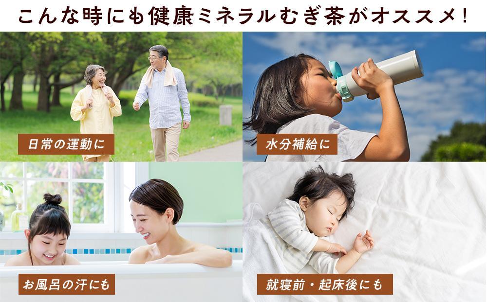 定期便 毎月 全3回 健康ミネラル麦茶 2L×6本 １ケース 3ヶ月定期便