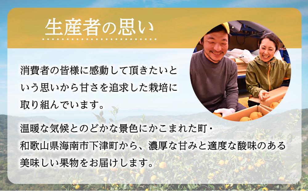 ［先行予約］蔵出しみかん　LLサイズ又は3L　6kg　（和歌山県　海南市下津町　農園直送）