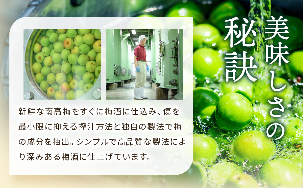 紀州のイチゴ梅酒　720ml