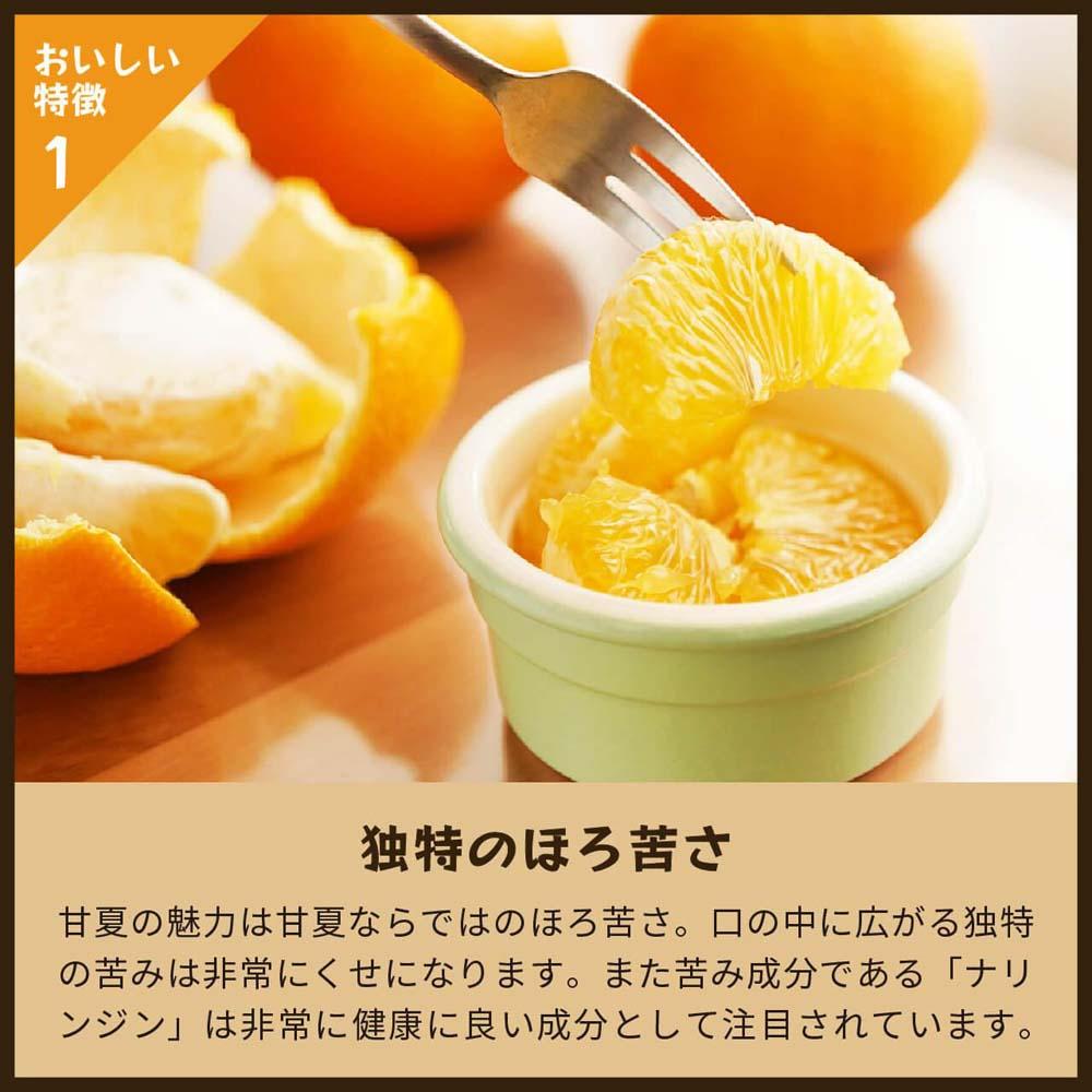 甘夏｜和歌山県海南市から産地直送でお届け｜4kg｜ご家庭用【2026年4月より発送開始】