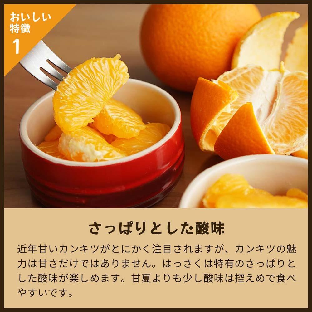 八朔｜和歌山県海南市から産地直送でお届け｜4kg｜ご家庭用【2026年4月より発送開始】