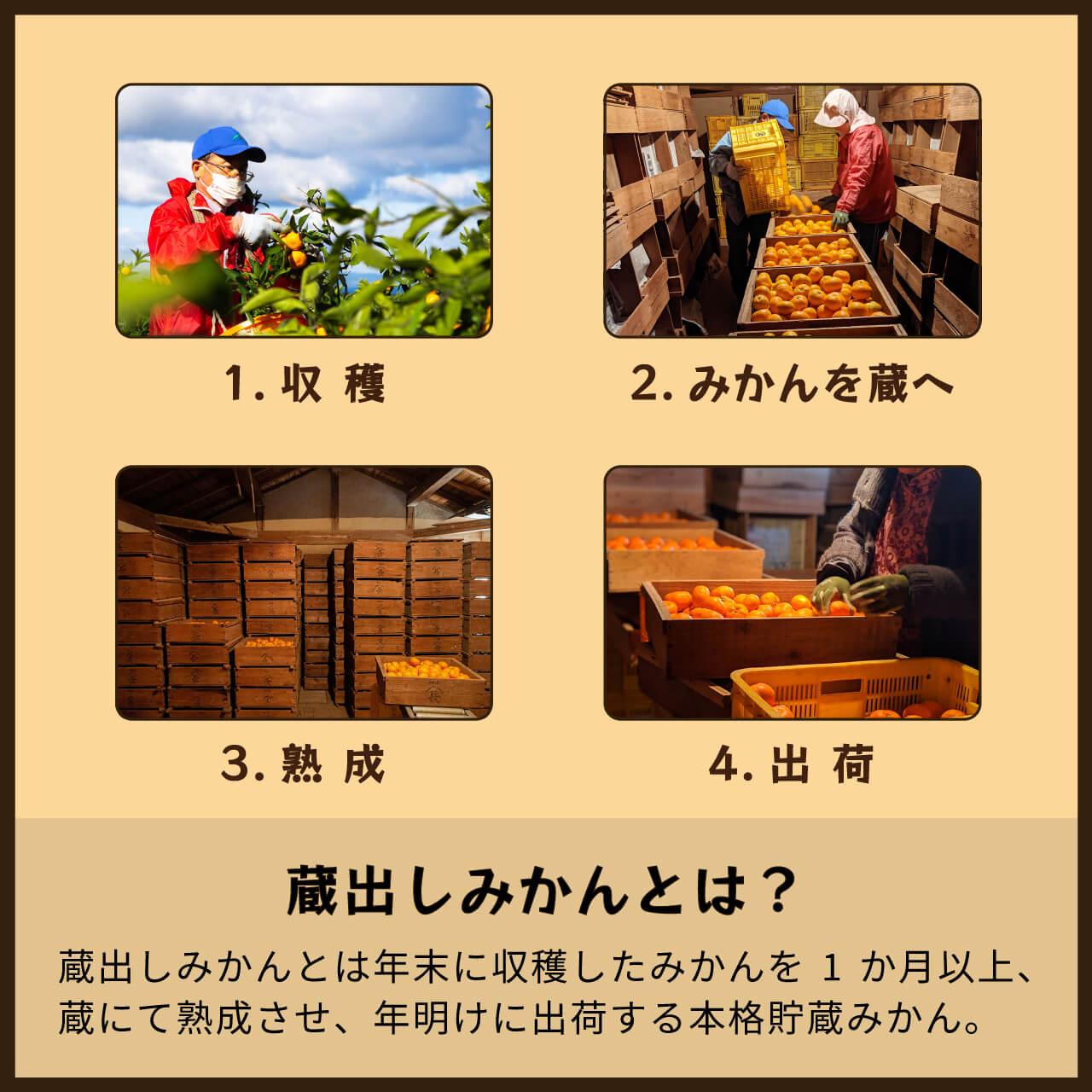 蔵出しみかんゼリー8個入×2|農家だからできる高果汁の高級ゼリー