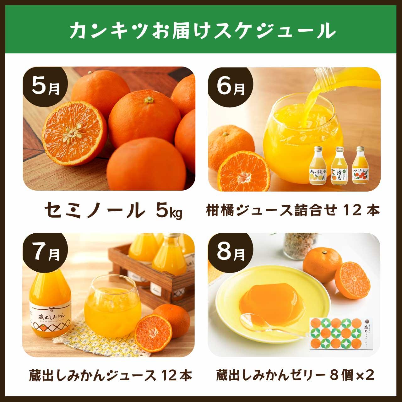 【毎月お届け全12回】みかんのサブスク 定期便 頒布会｜旬のカンキツを産地直送で毎月お届け 家庭用 和歌山県 海南市 【毎月お届け全12回】