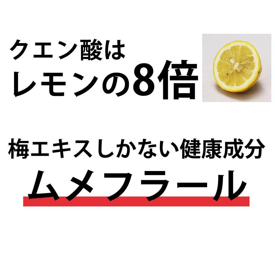 梅エキス 紀州の赤本純正【元気ノ国】70g×3個セット