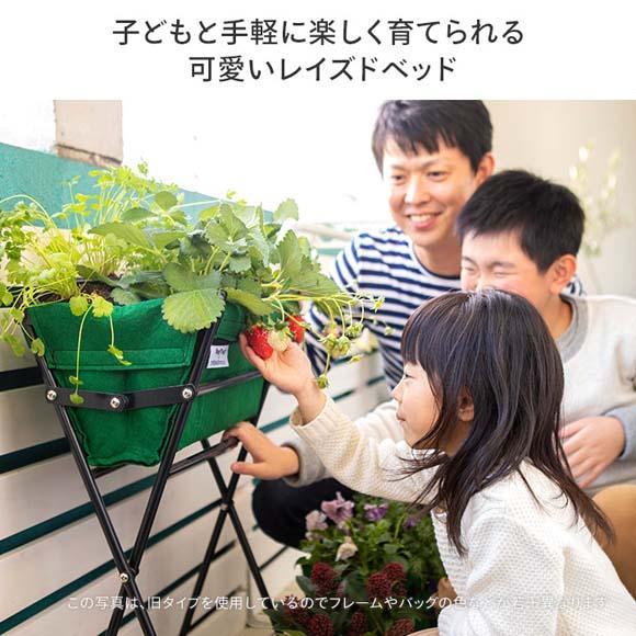 57926600 ベジトラグ ポピーGO レッド