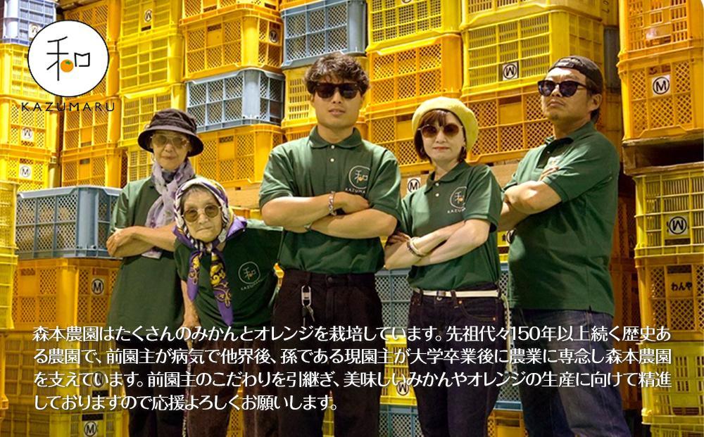 家庭用 森本農園の手選別 清見オレンジ 10kg 和歌山県産 サイズ混合 ［北海道・沖縄・離島配送不可］［RN39］［2026年2月上旬から5月中旬頃順次発送予定］